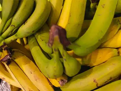 cuales-son-frutos-climatericos-y-no-climatericos-2 ¿Cuáles son los frutos climatéricos y no climatéricos?